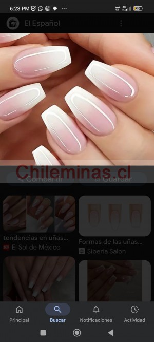 Carolina  Damas de compa&ntilde;ia en Chile, escort o acompa&ntilde;antes femeninas en La Florida |  Busco chicas con alojamiento pago diario buen trato, Chicas por turno o puertas adentro pago diario 